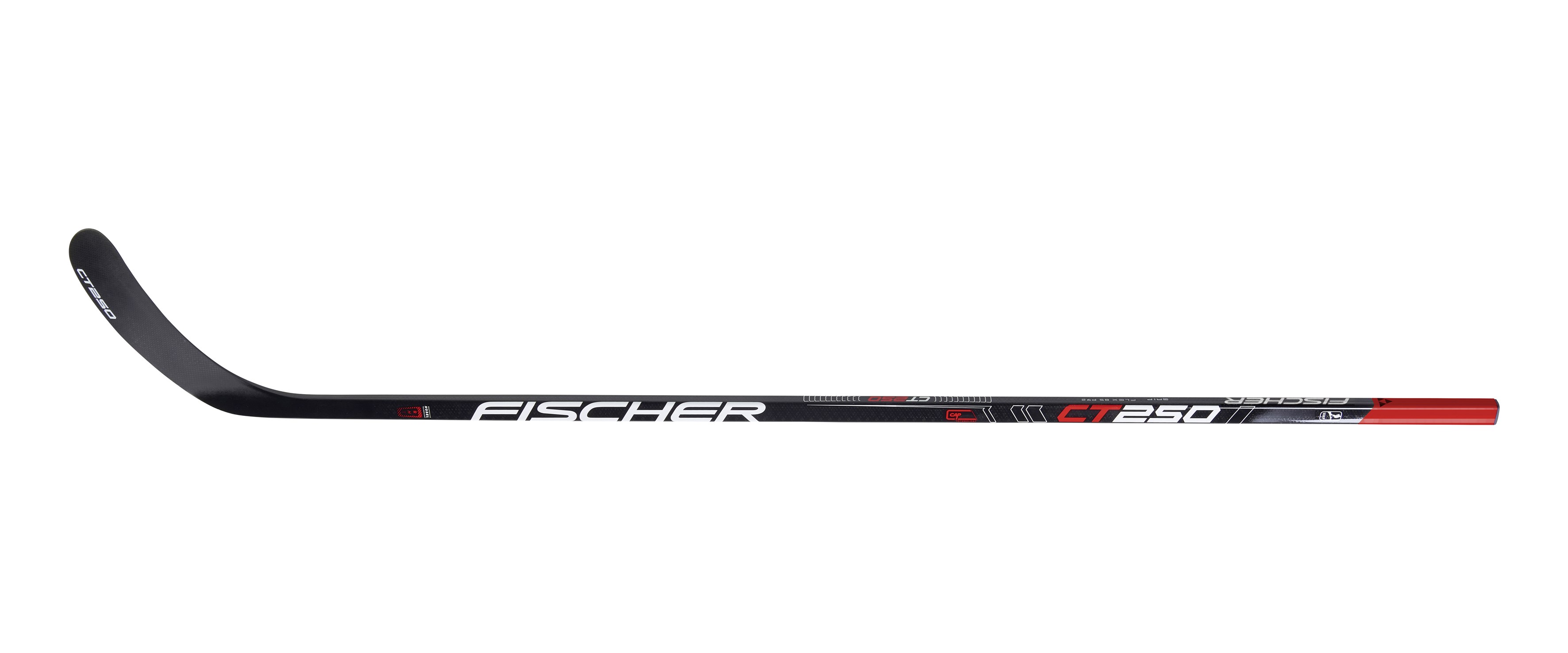 Fischer